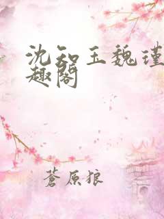 沈知玉魏瑾风笔趣阁