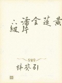 ∴潘金莲黄色一级片