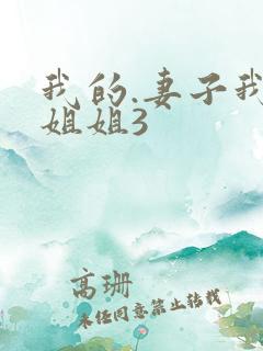 我的.妻子我的姐姐3