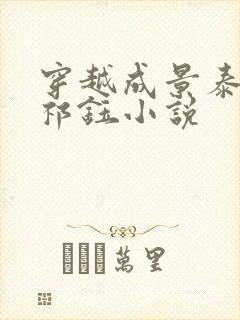 穿越成景泰帝朱祁钰小说