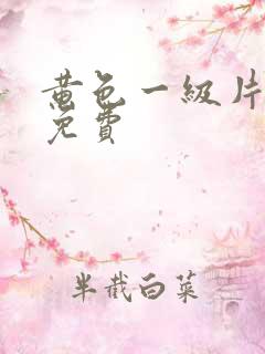 黄色一级片夫妻免费