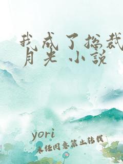 我成了总裁的白月光 小说