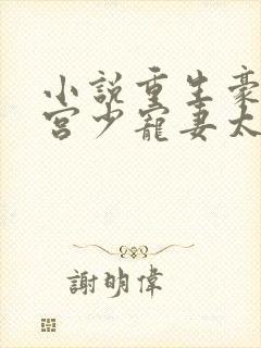 小说重生豪门:宫少宠妻太凶猛