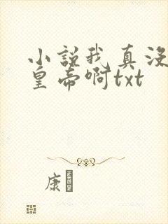 小说我真没想当皇帝啊txt