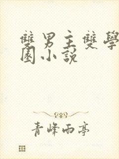 双男主双学霸校园小说