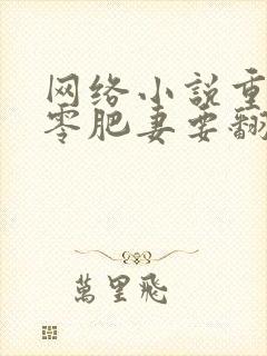 网络小说重生七零肥妻要翻身