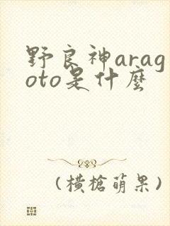野良神aragoto是什么