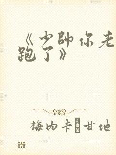 《少帅你老婆又跑了》