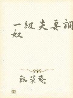 一级夫妻调教男奴