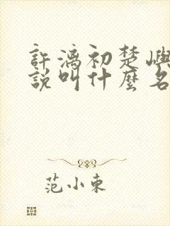 许漓初楚屿安小说叫什么名字