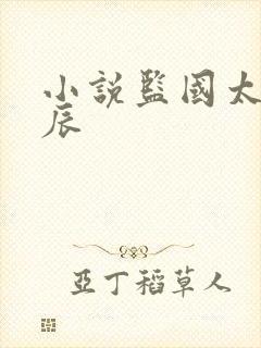 小说监国太子李辰