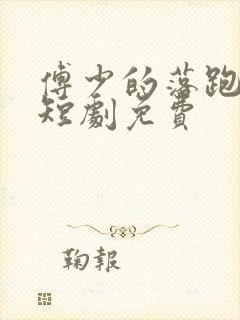 傅少的落跑新娘短剧免费