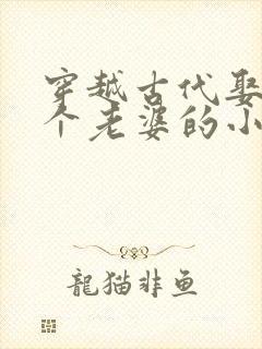 穿越古代娶了四个老婆的小说