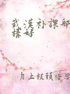 武汉补课哪个机构好