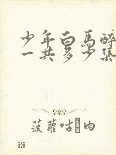 少年白马醉春风一共多少集