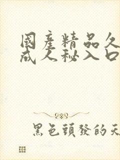 国产精品久久久成人秘入口