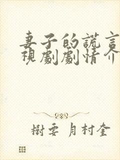 妻子的谎言 电视剧剧情介绍