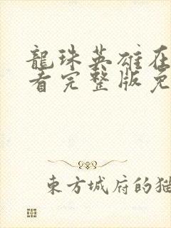 龙珠英雄在线观看完整版免费