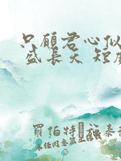 只愿君心似我心 盛长天 短剧