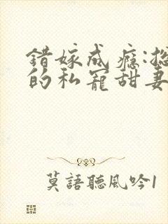 错嫁成瘾:总裁的私宠甜妻