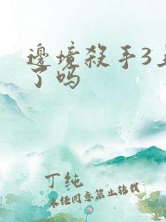 边境杀手3上映了吗