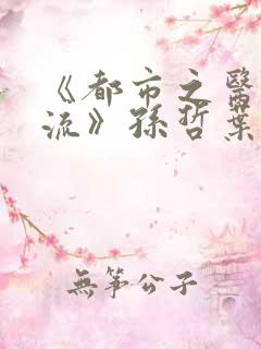 《都市之医武风流》孙哲叶巧朱颜