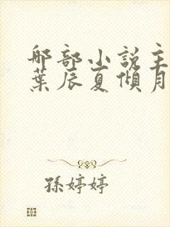 哪部小说主角叫叶辰夏倾月