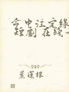 命中注定缘归来 短剧 在线看