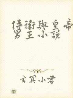 侍卫与皇帝的双男主小说