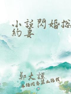 小说闪婚总裁契约妻