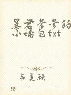 暴君爹爹的团宠小娇包txt