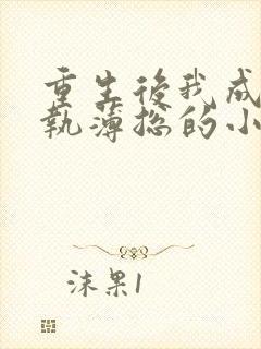 重生后我成了偏执薄总的小撩精免费阅读