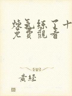 炼气练了十万年免费观看