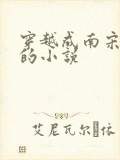 穿越成南宋赵m的小说