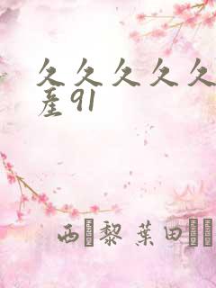 久久久久久久国产91