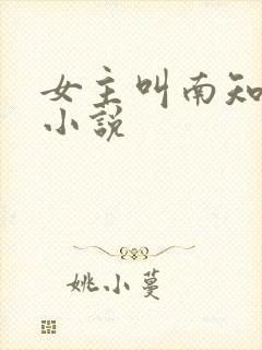 女主叫南知意的小说