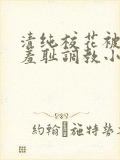 清纯校花被民工羞耻调教小说