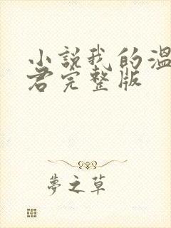 小说我的温柔暴君完整版