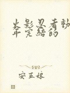 火影忍者动漫哪年完结的