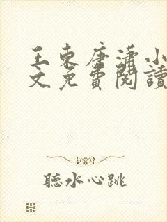 王东唐潇小说全文免费阅读全集