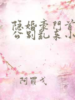 隐婚豪门首席老公别乱来小说