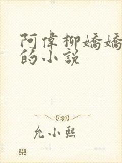 阿伟柳娇娇芳姨的小说
