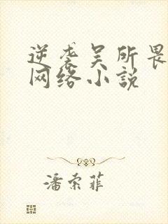 逆袭吴所畏池骋网络小说