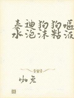 泰迪狗狗呕吐黄水泡沫粘液