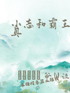 小志和霸王龙玩具