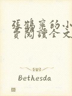 张鹤宁的小说免费阅读全文