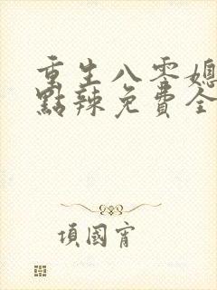 重生八零媳妇有点辣免费全文