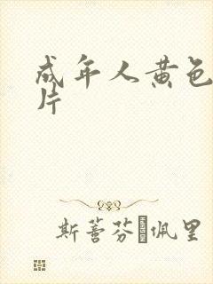 成年人黄色录象片