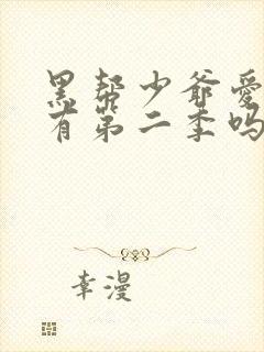 黑帮少爷爱上我有第二季吗