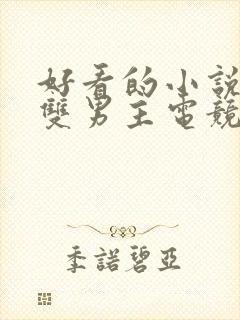 好看的小说推荐双男主电竞